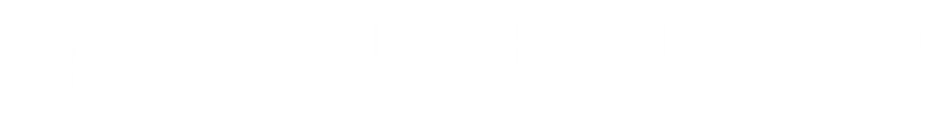 Logo de Panora Exchange